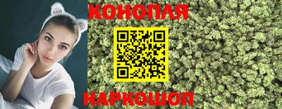 крисы Краснознаменск