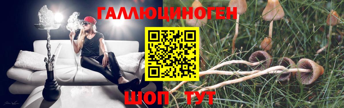 Псилоцибиновые грибы MAGIC MUSHROOMS Вологда