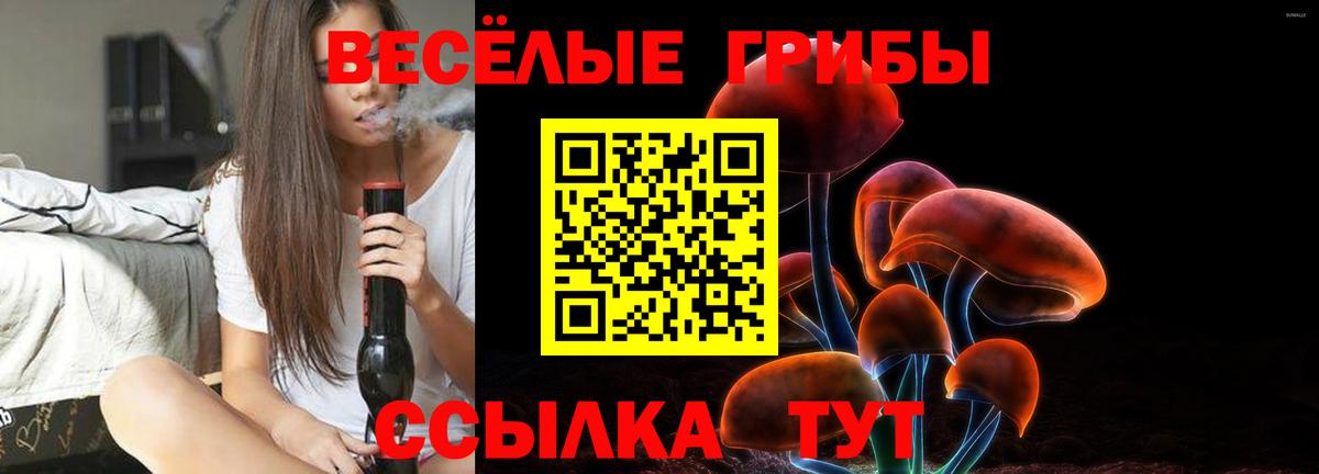 Галлюциногенные грибы Magic Shrooms  хочу   Вологда  Вход с VPN 
